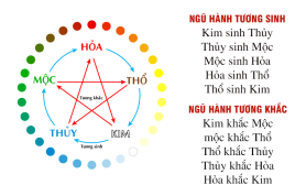 menh hoa hop mau gi 5 81a64128